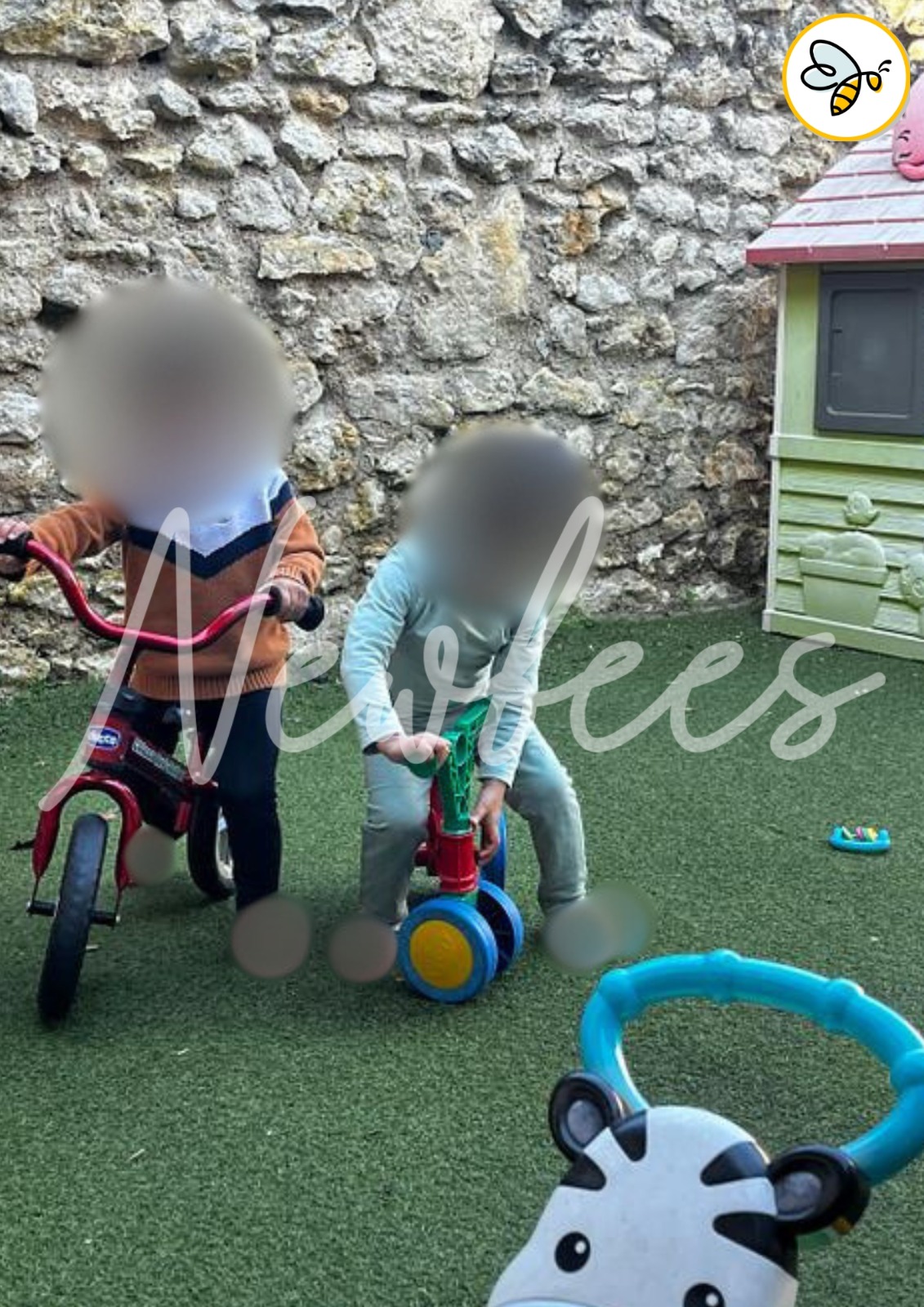 Draisienne et tricycle dans le jardin