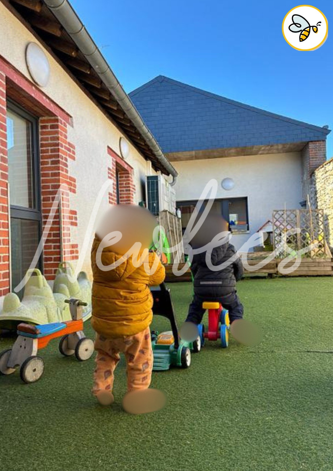Vue ensoleillée du jardin